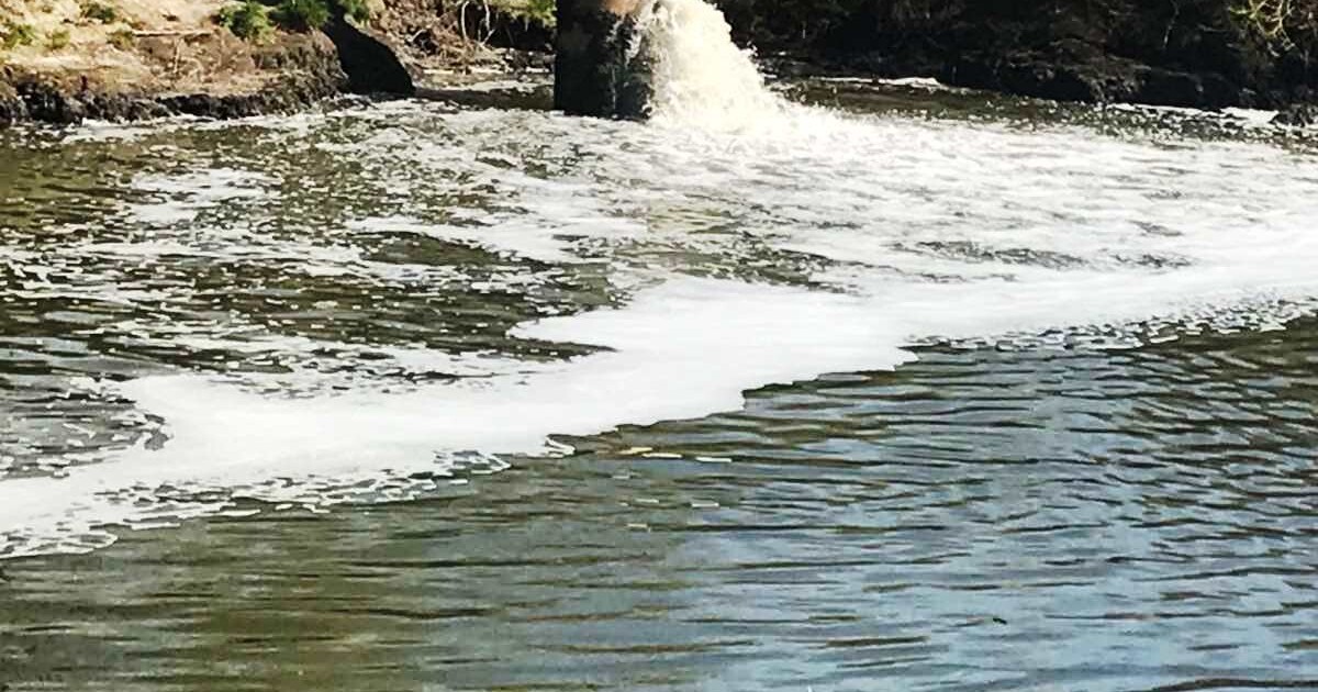 Аномальне обміління річки Стир та забруднення водойм – хто винен і що ...