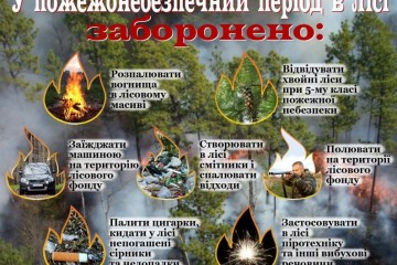 Рятувальники Луцького міськрайонного відділу закликають громадян дотримуватись правил пожежної безпеки під час відпочинку в лісі