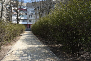 Роботи із благоустрою міста продовжуються, незважаючи на карантин