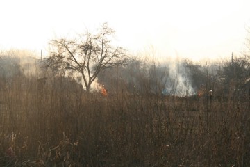 Тих, хто спалюватиме опале листя, залишки рослинності та відходів на території міста, штрафуватимуть! 