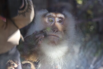 Осінь в Луцькому зоопарку