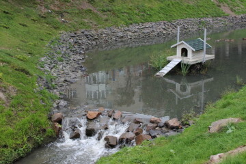      Триває толока з благоустрою водоохоронної зони річки Сапалаївка 