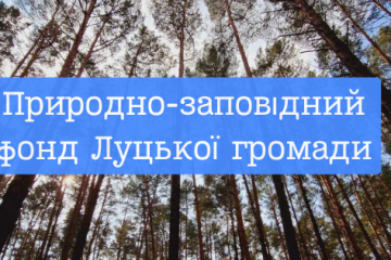 Відділ екології проводить опитування щодо обізнаності мешканців про природно-заповідний фонд Луцької громади