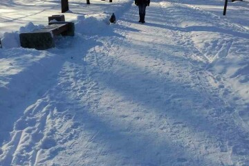 Проведено  рейд щодо дотримання Правил утримання тварин у місті Луцьку