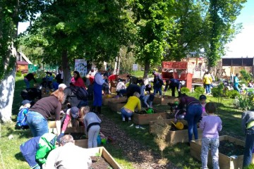 Міське городництво, психологічне здоров’я та сімейне дозвілля у проекті Syngenta