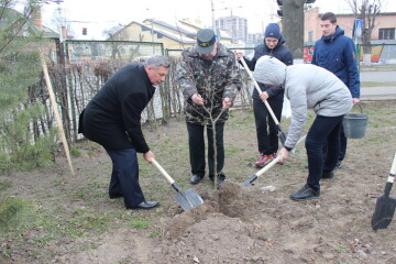 На території навчально-виховного комплексу № 7 — природничий ліцей висадили молоді дерева