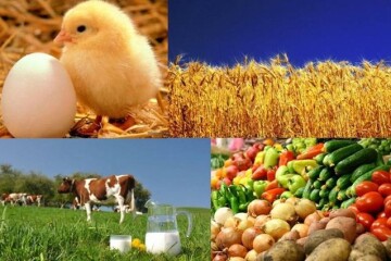 Зустрічі-знайомства з сільськогосподарськими дорадчими службами України