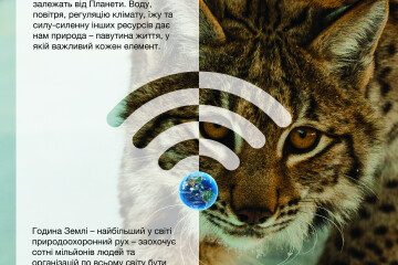 Година  Землі 2019