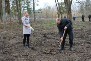 У Центральному парку культури і відпочинку ім. Лесі Українки сьогодні висадили  2, 5 тисячі  молодих дерев