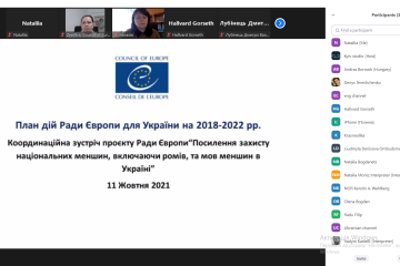 Директор департаменту культури Тетяна Гнатів взяла участь у Координаційній зустрічі в рамках проєкту Ради Європи «Захист національних меншин, включаючи ромів, та мов меншин в Україні»