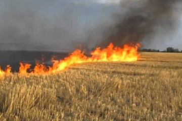 Підвищено відповідальність за спалювання сухої рослинності