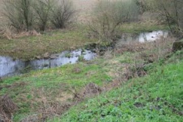 Сьогодні відбулася загальноміська толока з впорядкування водоохоронної зони та прибережної захисної смуги р. Омеляник
