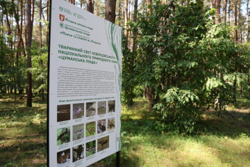 Виїзне заняття педагогів Луцької громади на новій екостежці «Сосновий бір»