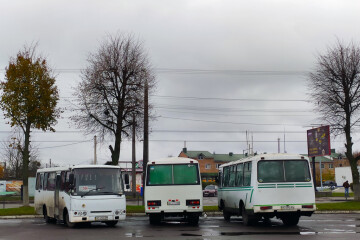 Міська рада оголосила конкурс на перевезення пасажирів за маршрутом №104 “Кульчин - Луцьк”