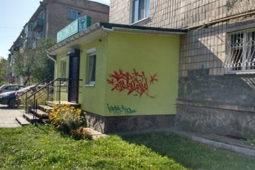Інформація департаменту муніципальної поліції Луцької міської ради про дотримання Правил благоустрою міста Луцька