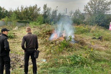  Муніципали виявили факти самовільного спалювання сухої рослинності на території міста