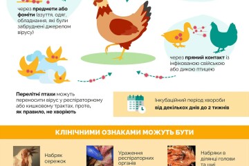 Грип птиці: шляхи передачі, клінічні ознаки та алгоритм дій при виявлені, превентивні заходи
