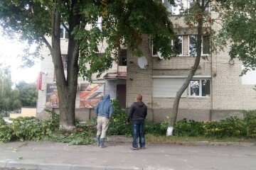 На вулиці Декабристів  чоловіки намагалися незаконно зрізати гілля великого дерева