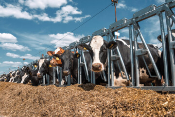 Реалізація жому для агровиробників!