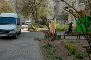 У Луцькій громаді ліквідовують наслідки негоди