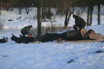 У Парку культури і відпочинку імені 900-річчя м. Луцька продовжуються роботи із впорядкування території