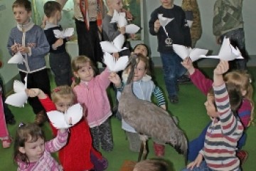 Екологічна година «Птахи прилетіли!»… 