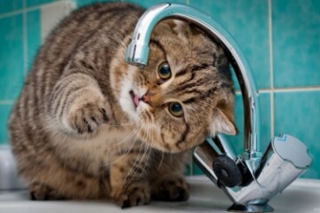 Увага! 3 грудня буде припинено водопостачання на декількох вулицях