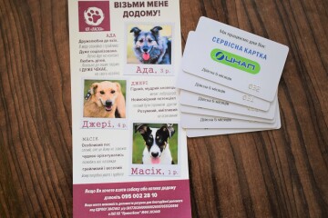 Ласощі у подарунок для чотирилапих друзів
