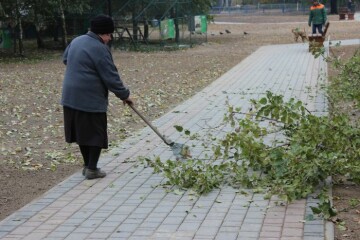  250 осіб брали участь в акції з благоустрою території Луцького зоопарку