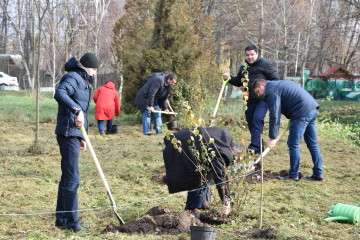 У Центральному парку імені Лесі Українки з’явилася жасминова алея