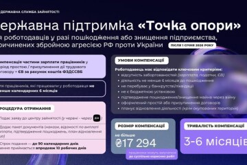 Державна підтримка &laquo;Точка опори&raquo;