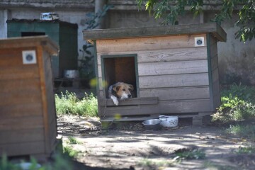 Депутати Луцької міської ради відвідали КП &laquo;Ласка&raquo;