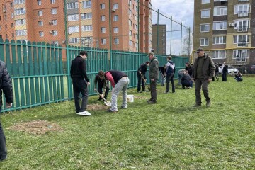 На території Луцького ліцею №27 висадили Дуби Шевченка