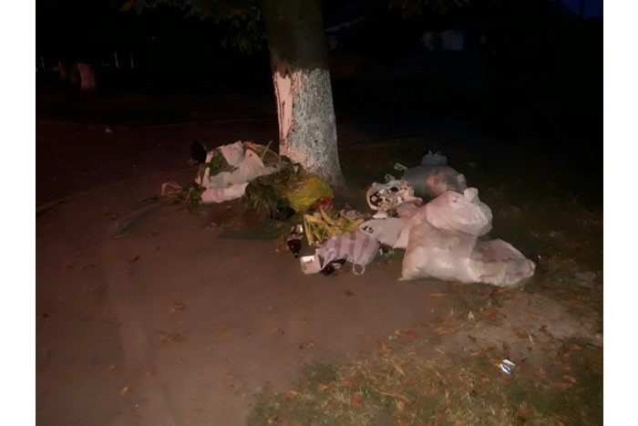 На вулиці Володимирській виявили факти порушення Правил благоустрою міста
