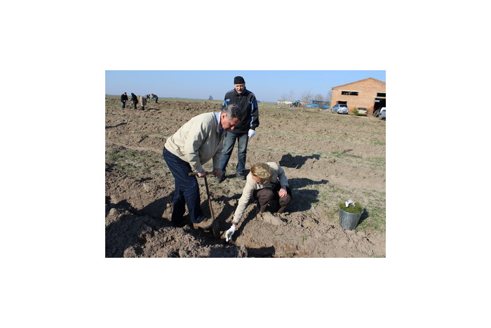 Сьогодні працівники Луцької міської ради долучилися до Всеукраїнської акції «Майбутнє лісу в твоїх руках»