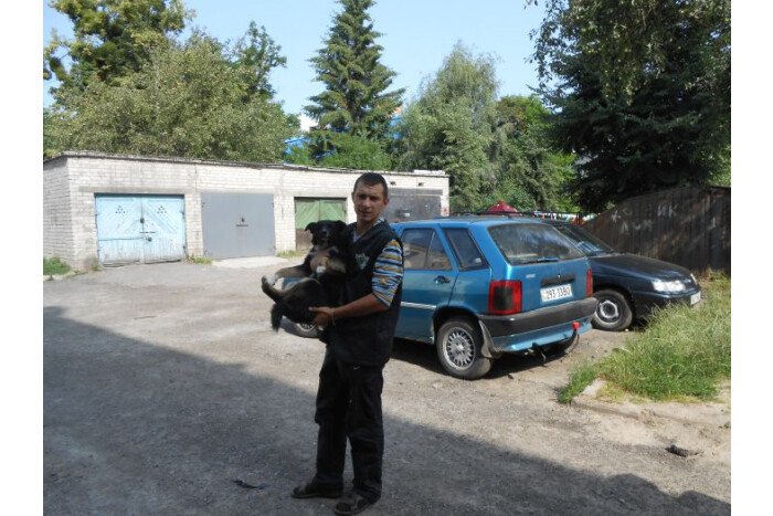 Працівники КП «Ласка» продовжують відлов безпритульних тварин