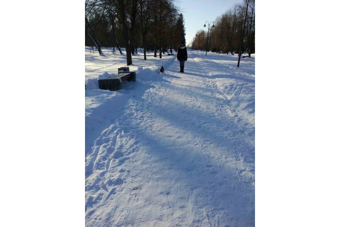 Проведено рейд щодо дотримання Правил утримання тварин у місті Луцьку