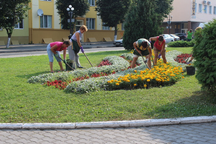 «Зелене господарство м. Луцька» прикрашає місто квітковими барвами