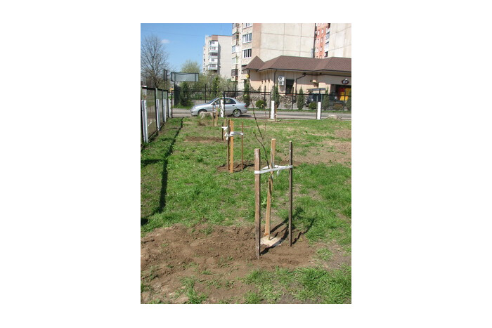 У Луцьку закладено «Сад пам’яті ліквідаторів аварії на ЧАЕС»