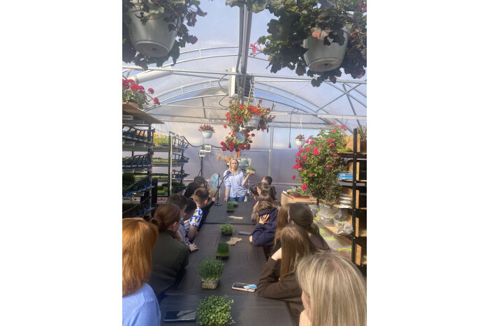 Сила &mdash; у мікрозелені: учасники проєкту &laquo;Бізнес-школа &laquo;Бути першим!&raquo; вивчали секрети вирощування вітамінних паростків