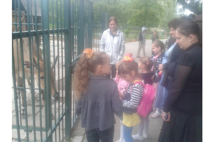 У зоопарку мого міста