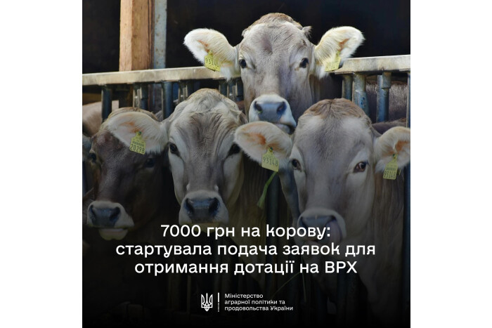 У Державному аграрному реєстрі стартує добір на спеціальну бюджетну дотацію на утримання поголів’я корів