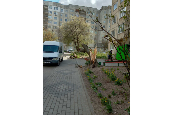 У Луцькій громаді ліквідовують наслідки негоди