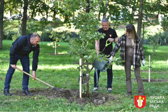 У центральному парку Луцька висадили дубовий гай Незалежності