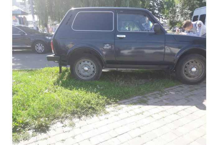 Інформація департаменту муніципальної варти про дотримання Правил благоустрою міста Луцька