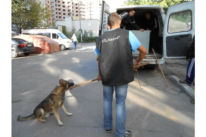 Англійські зоозахисники допомогли обладнанням для відлову собак комунальному підприємству «Ласка»