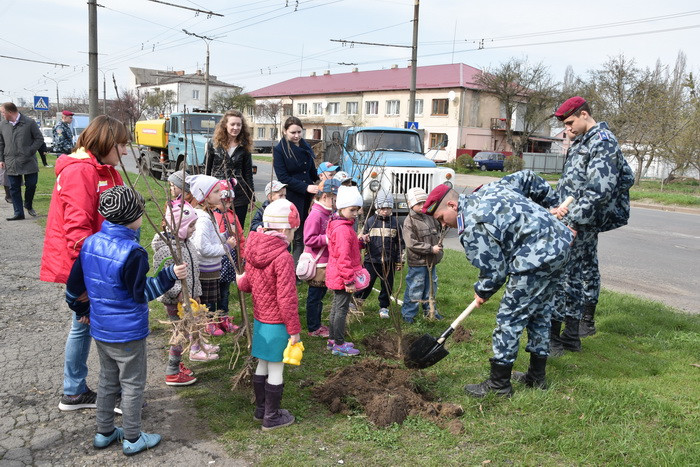 Вулиця Дубнівська поповнилася новими зеленими насадженнями